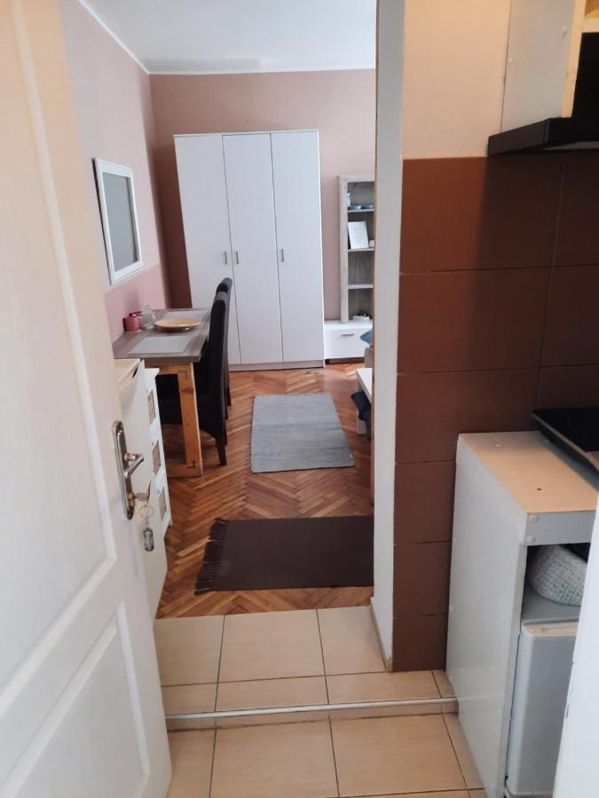 Apartmani Biljana Lazic Vrnjačka Banja Exterior foto