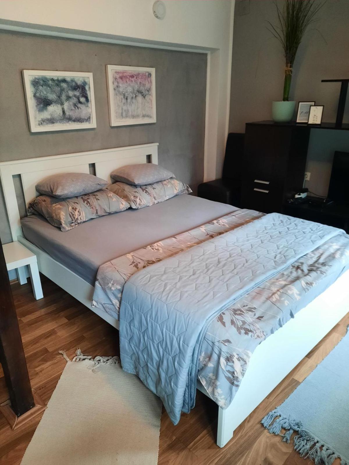 Apartmani Biljana Lazic Vrnjačka Banja Exterior foto